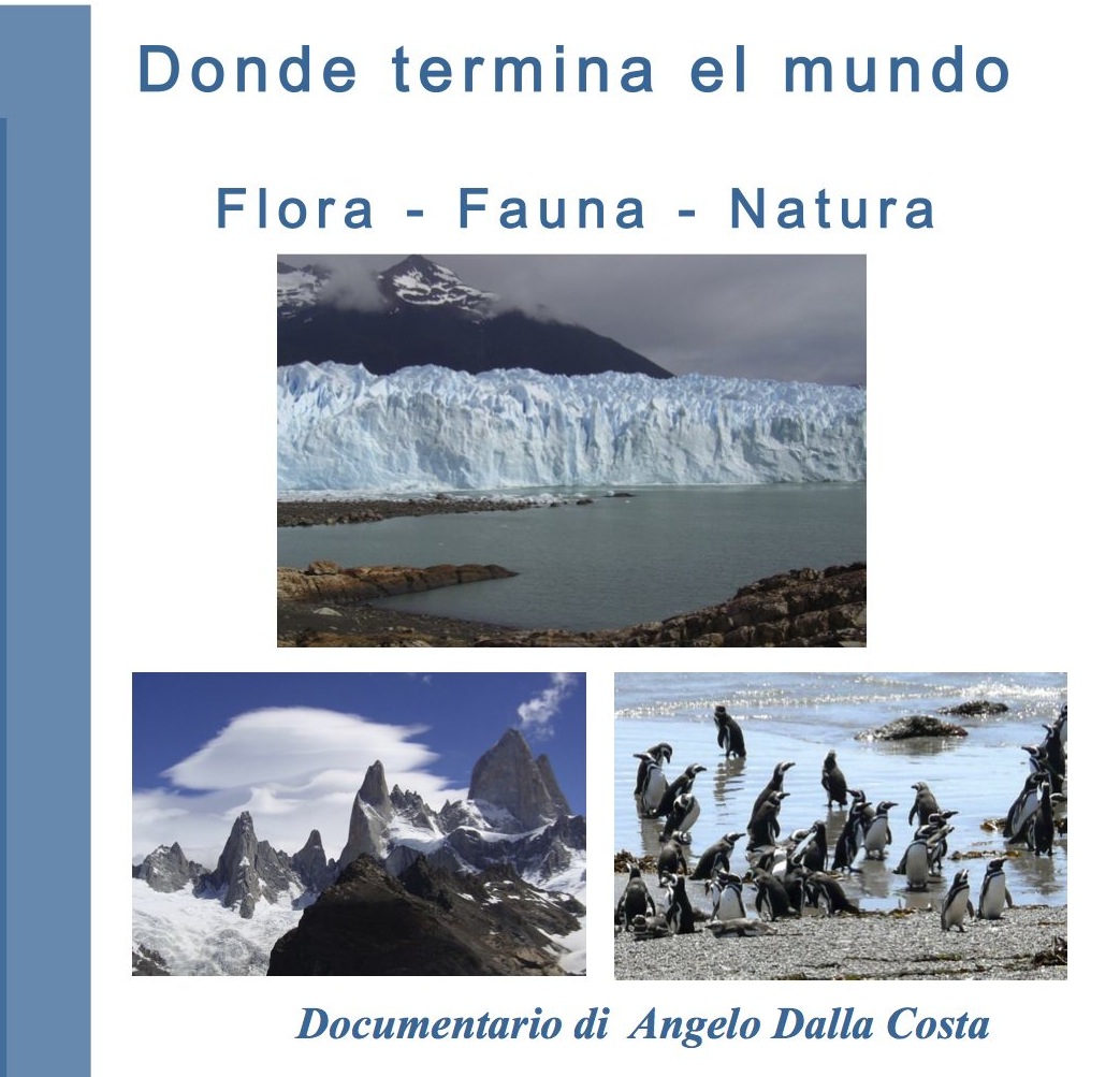 Patagonia
