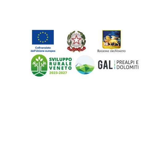Investimenti per il rafforzamento dei servizi di base alla popolazione delle aree rurali
