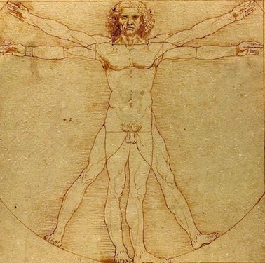 Uomo vitruvianoDX